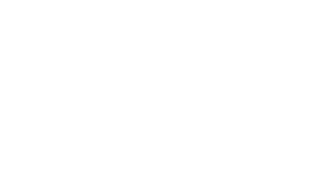 Fox Estúdio — Agência de Marketing Digital em Carlos Chagas MG